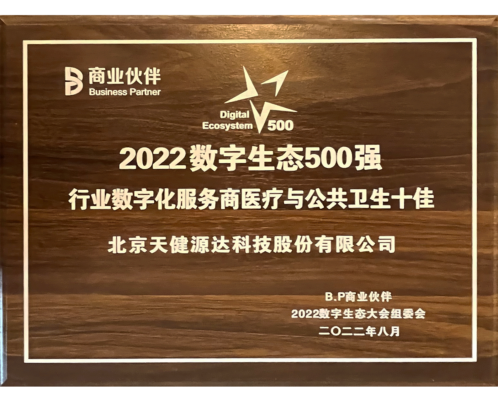 2022數(shù)字生態(tài)500強(qiáng) 行業(yè)數(shù)字化服務(wù)商醫(yī)療與公共衛(wèi)生十佳